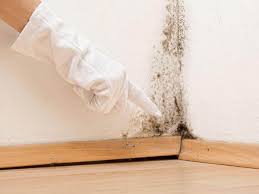 Best Mold Removal for HVAC Installations in USA